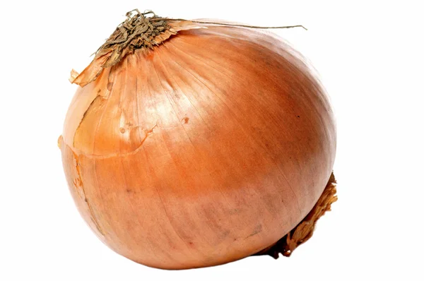 Big Onion — Stock Photo, Image