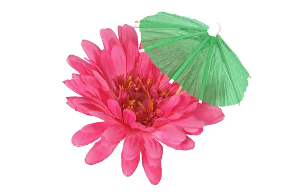 Flor e guarda-chuva — Fotografia de Stock