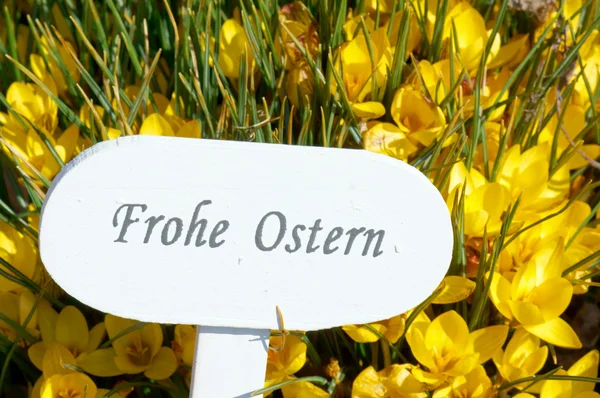 Frohe Ostern — Stockfoto
