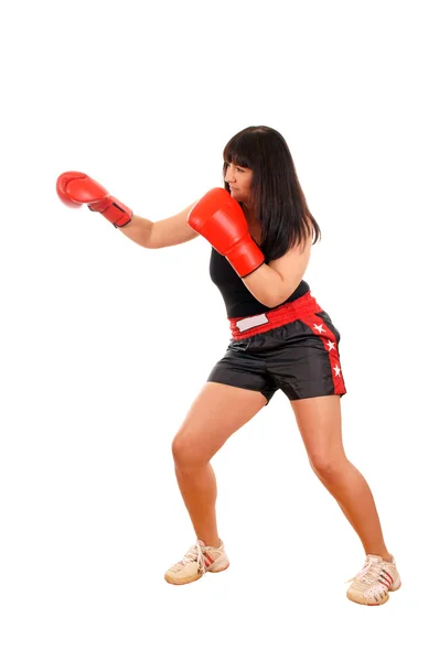 Athletisches Mädchen mit Boxhandschuhen — Stockfoto