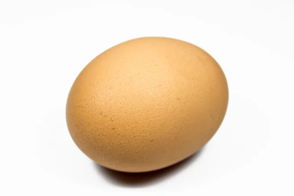 stock image Single egg