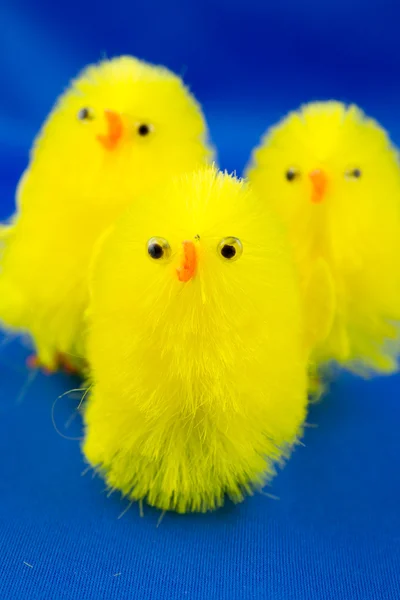 Pollitos de Pascua sobre un fondo azul — Foto de Stock