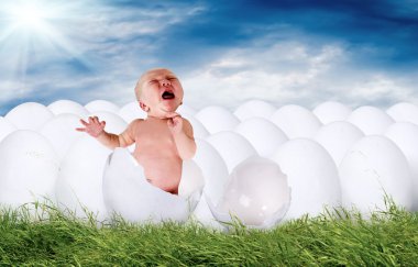 Baby newborn from white egg outdoor clipart