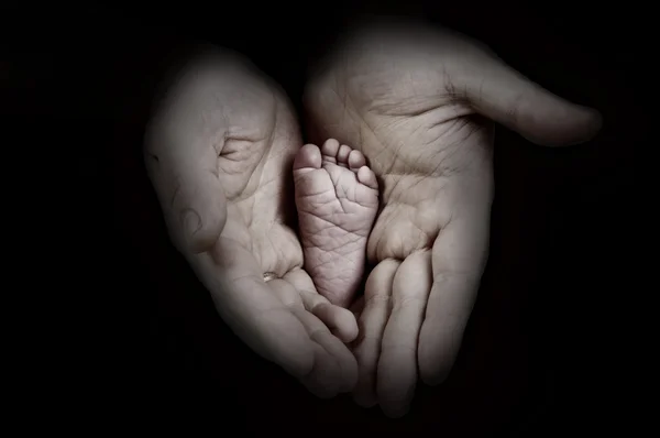 Baba elinde tek renkli arka plan üzerinde bebek ayaklar — Stok fotoğraf