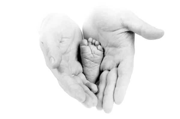 Babys alja, apja kezébe a fekete-fehér háttér — Stock Fotó