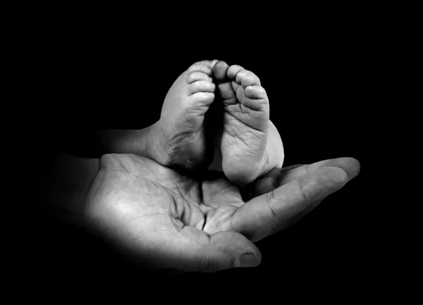 Babys pies en las manos del padre en el fondo monocromo — Foto de Stock