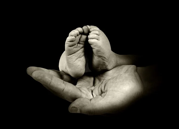 Babys pés em mãos pai sobre o fundo monocromático — Fotografia de Stock