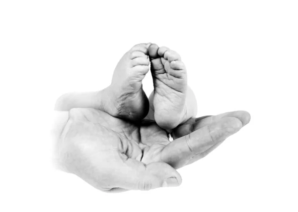 Babys pés em mãos pai sobre o fundo monocromático — Fotografia de Stock