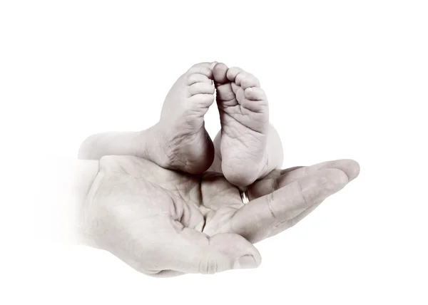 Baba elinde tek renkli arka plan üzerinde bebek ayaklar — Stok fotoğraf