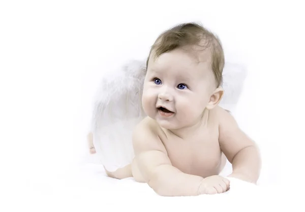 Felicidad bebé ángel en el fondo blanco —  Fotos de Stock