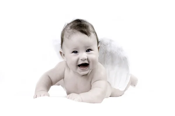 Felicidade bebê anjo no fundo branco — Fotografia de Stock