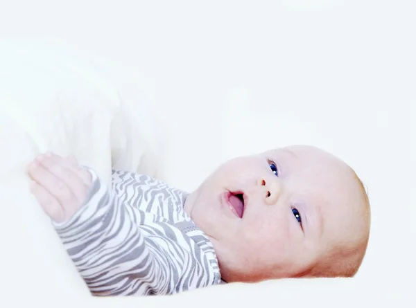 Aislador de bebé recién nacido en el fondo blanco — Foto de Stock