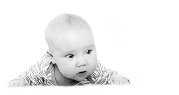 初生婴儿盐酸白色背景上 — 图库照片