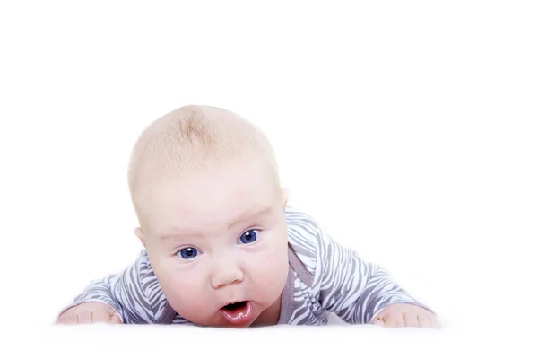 stock image Newborn baby isolater on the white background