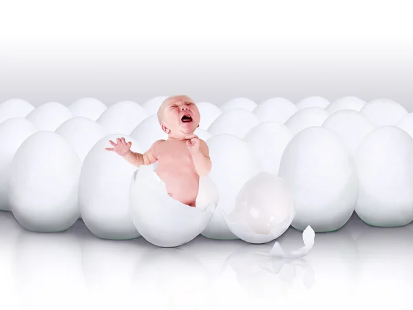 stock image Baby newborn from white egg