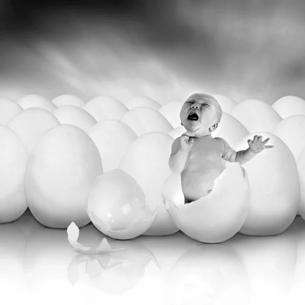 Baby newborn from white egg — Stock Photo, Image