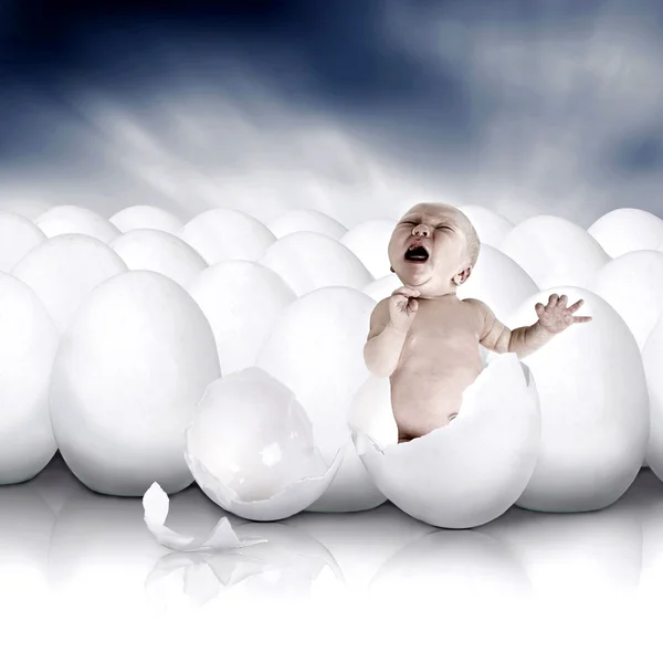 Baby novorozence od bílé vajíčko — Stock fotografie