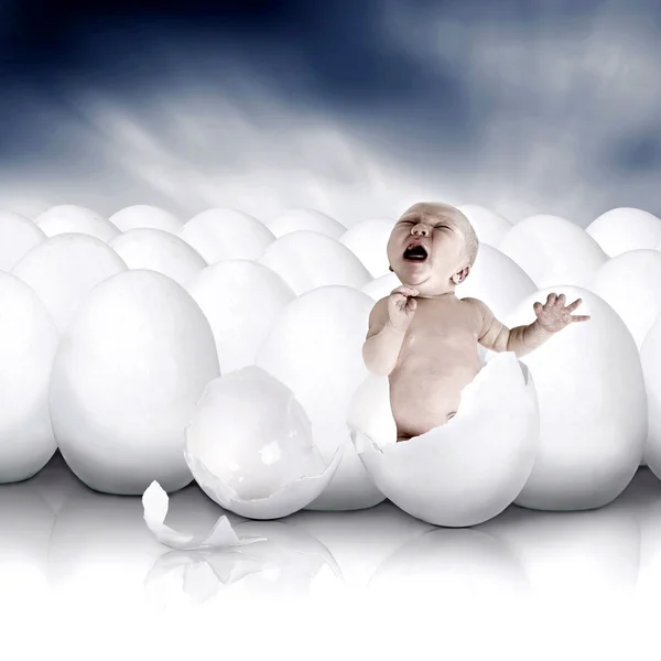 stock image Baby newborn from white egg