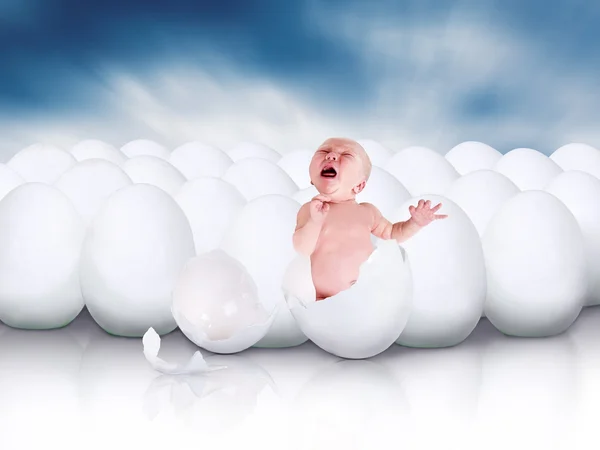 stock image Baby newborn from white egg