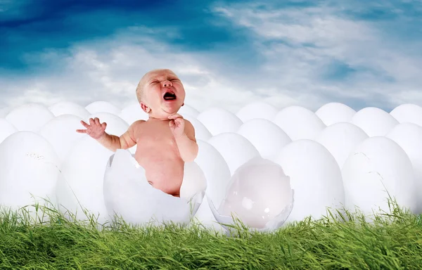 stock image Baby newborn from white egg outdoor