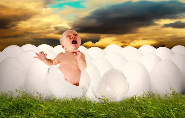 stock image Baby newborn from white egg outdoor