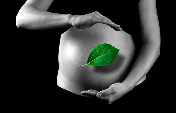 怀孕的女人的背景上的绿色叶 — 图库照片