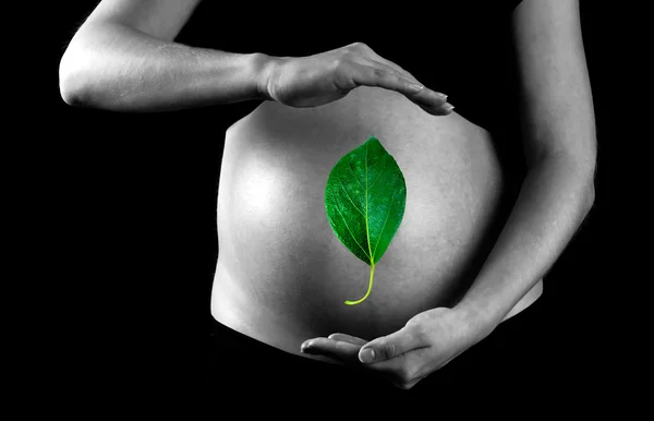 stock image Green leaf on the pregnant woman background