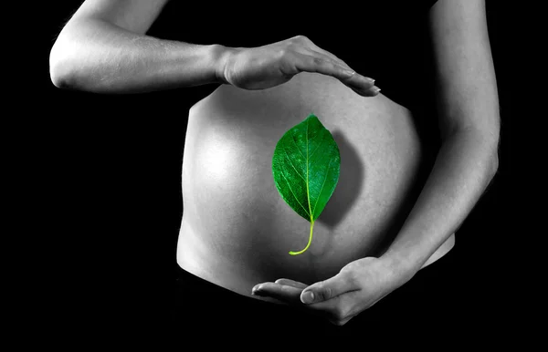 Zielony liść na tle kobieta w ciąży — Zdjęcie stockowe