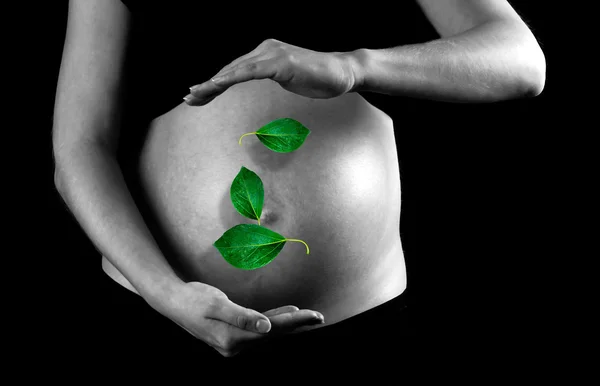 stock image Green leaf on the pregnant woman background