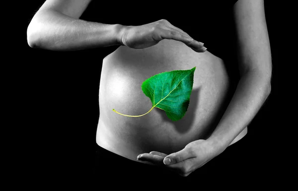 怀孕的女人的背景上的绿色叶 — 图库照片