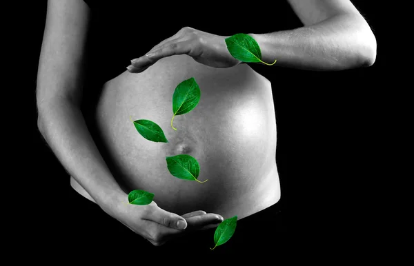 stock image Green leaf on the pregnant woman background