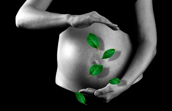 Stock image Green leaf on the pregnant woman background