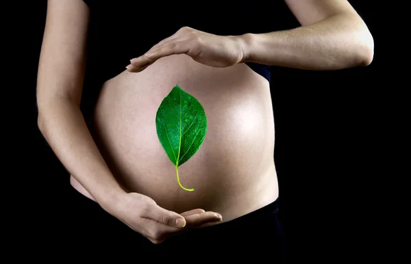 Зеленый лист на фоне беременной женщины — стоковое фото