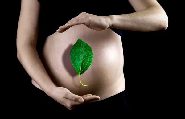 Grünes Blatt auf dem Hintergrund der schwangeren Frau — Stockfoto