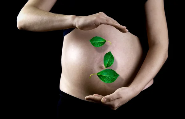 Зеленый лист на фоне беременной женщины — стоковое фото