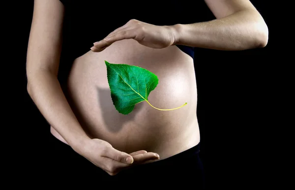 stock image Green leaf on the pregnant woman background