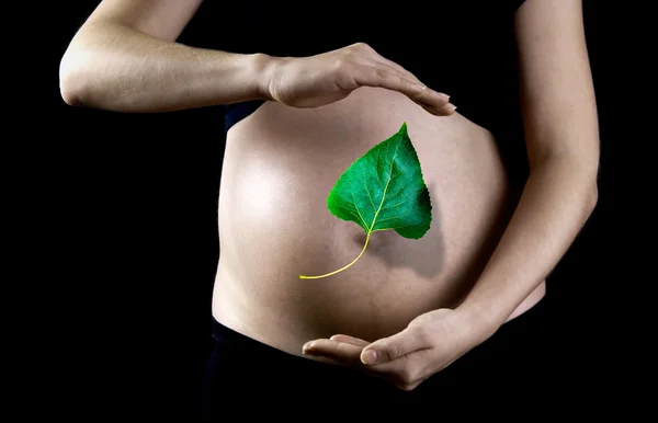 Zelený list na pozadí těhotná žena — Stock fotografie