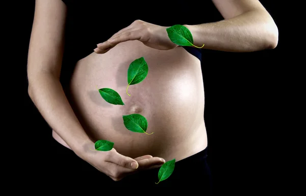 Groene blad op de achtergrond van de zwangere vrouw — Stockfoto