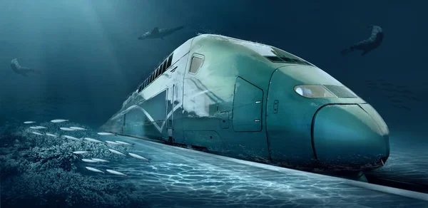 Движения поезда в подводной жизни океана — стоковое фото