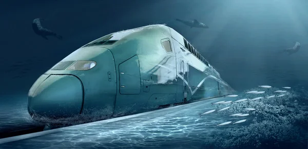 Ontwerpresoluties trein in onderwater oceaan leven — Stockfoto