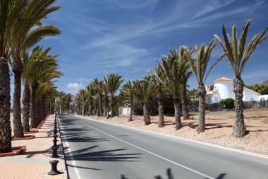 Road with palm trees in La Azohia, Region Murcia, Spain clipart