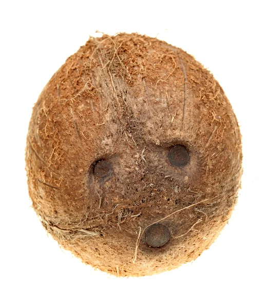 Frutas de coco inteiras isoladas sobre fundo branco — Fotografia de Stock