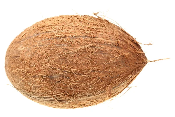 Owoce kokosowe izolowane na białym tle — Zdjęcie stockowe