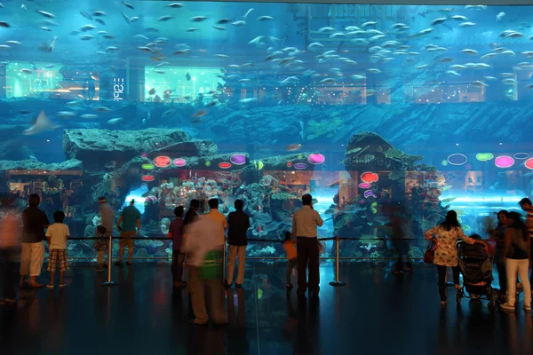 Frente al acuario dentro del Dubai Mall . —  Fotos de Stock