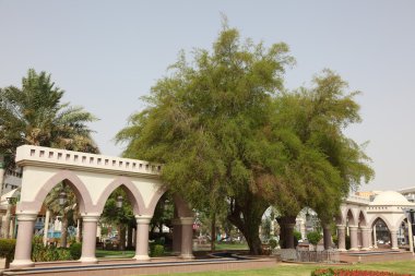 Park in the city of Al Ain, Abu Dhabi clipart