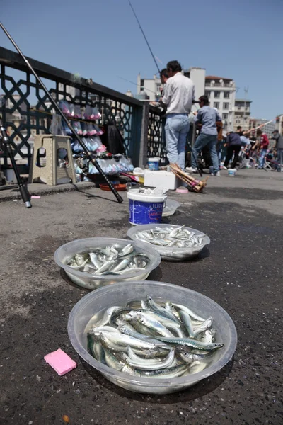 Pêche depuis le pont Galata à Istanbul — Photo