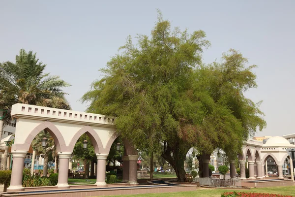 Park in der Stadt al ain, abu dhabi — Stockfoto