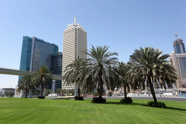 Palmen in der Stadt Dubai — Stockfoto