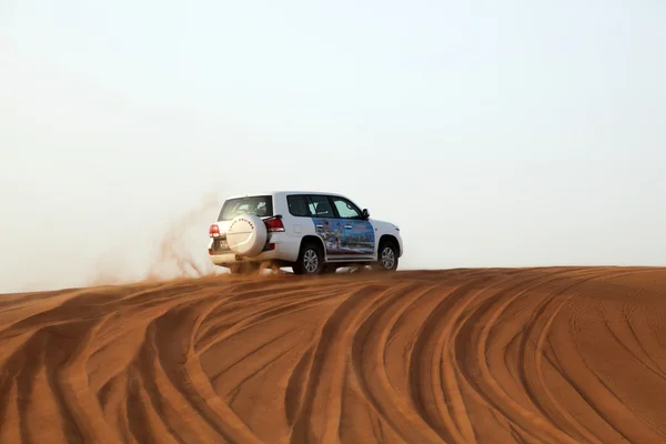 扑在迪拜的沙丘 — 图库照片