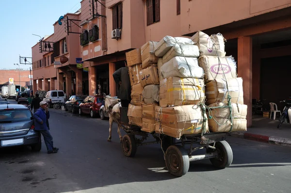 Carrinho de mula totalmente carregado na rua de Marraquexe, Marrocos — Fotografia de Stock